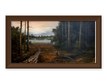 Forest Landscape – photo 1 of 1