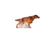 Sculpture “Irish Setter” – photo 1 of 5