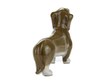 RARE porcelain figurine “Dachshund” – photo 4 of 5