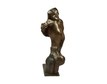 Centaur – photo 4 of 4