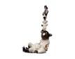Figurine “Bear as Voivode” – photo 2 of 7
