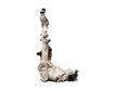 Figurine “Bear as Voivode” – photo 4 of 7