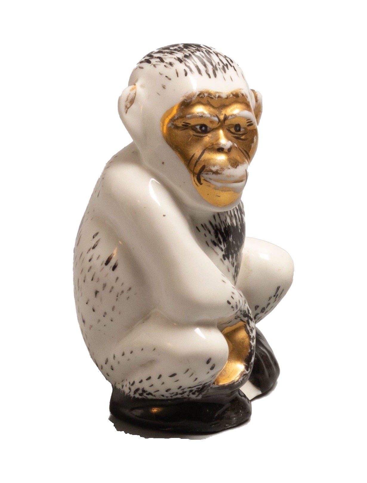 Monkey – photo 7 of 10